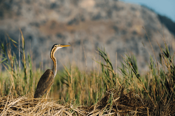Hova menjek lakóautóval Külföldön