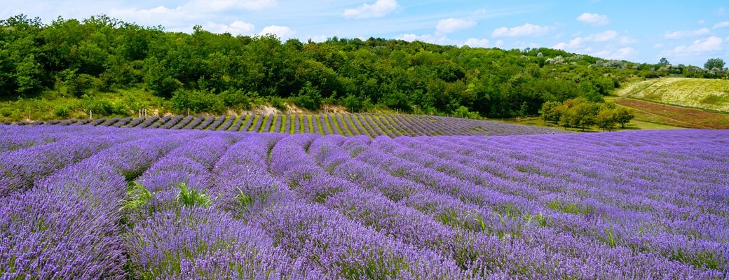 lakóautó bérlés a Balaton környékén