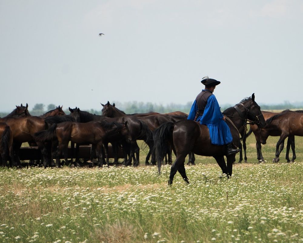 Hortobágyi Nemzeti Park